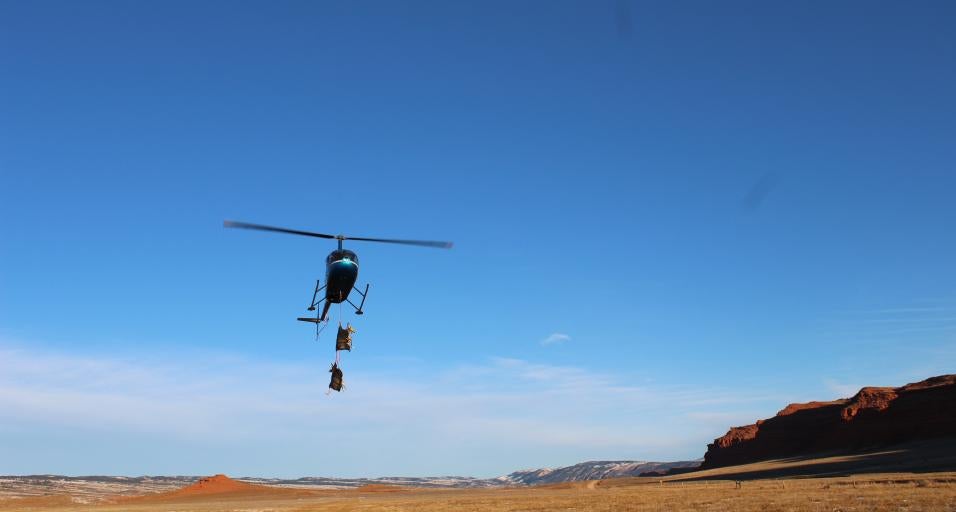 Kaycee deer capture Wyoming Game & Fish Department